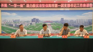 团市委召开开展“一学一做”助力脱贫攻坚第一团支部书记工作座谈会
